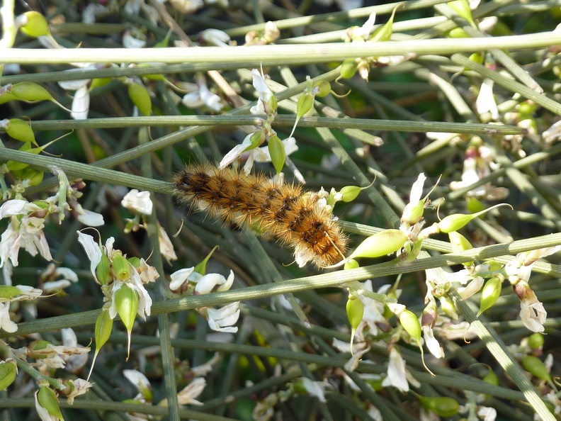 P1070503