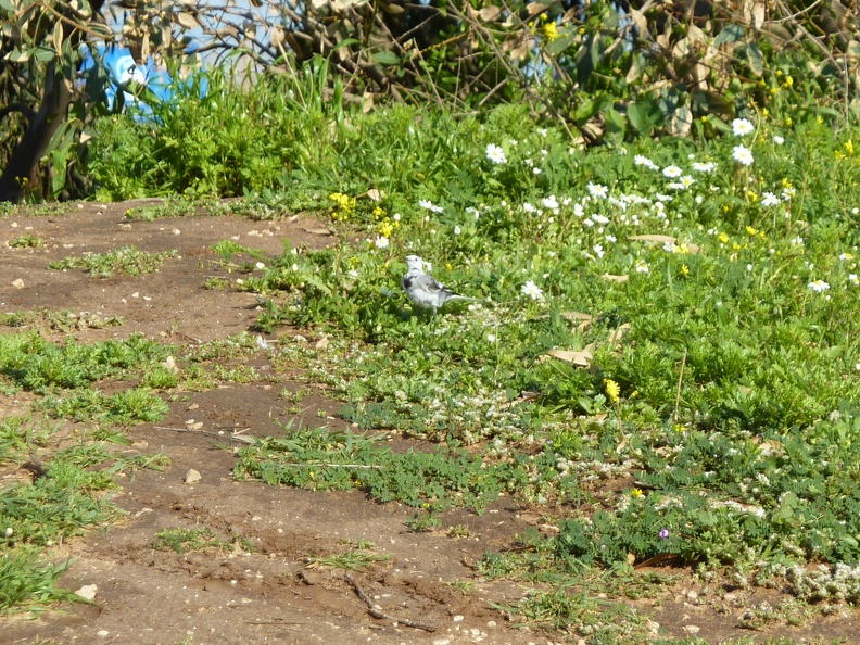 P1070554