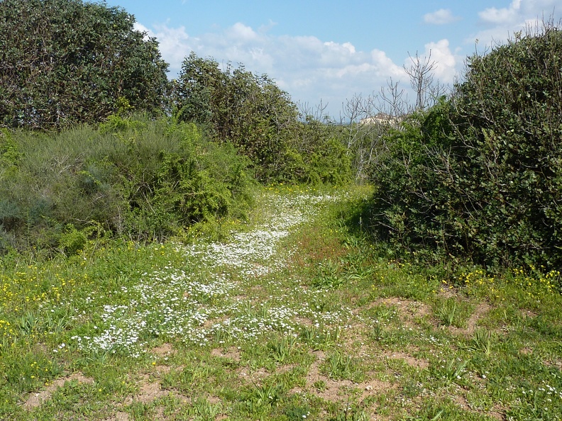 P1070507