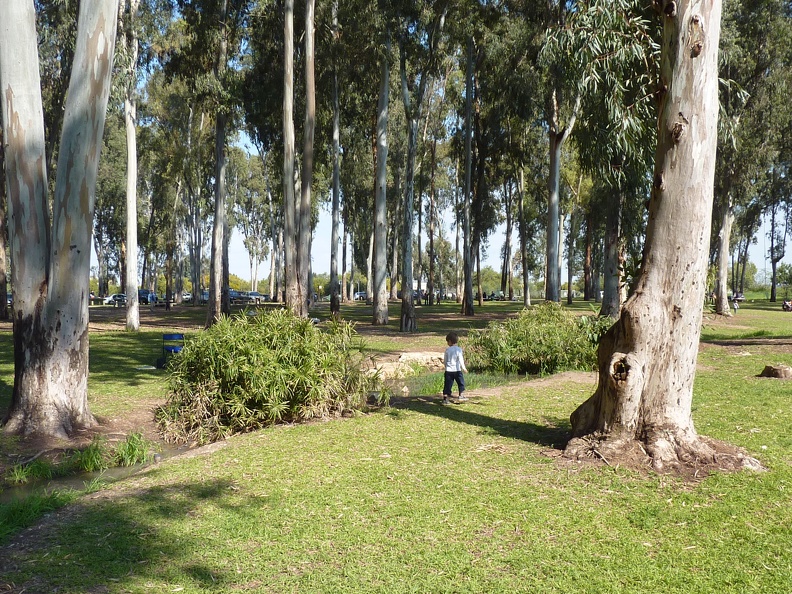 P1070723