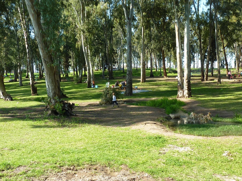 P1070732