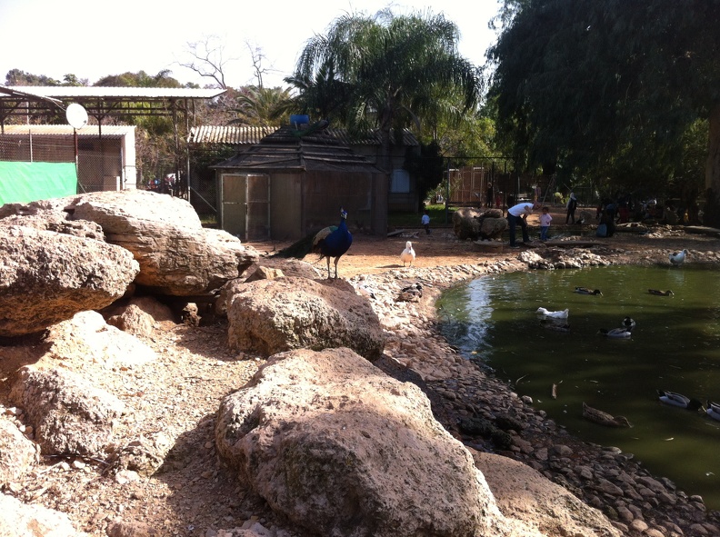 2013-01-22 12.23.51