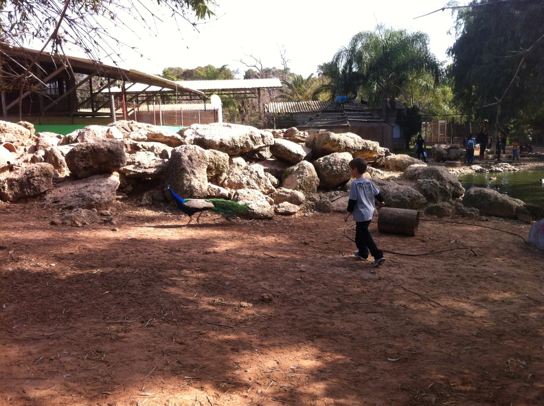 2013-01-22 12.28.33