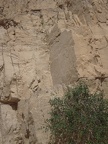 DSCN3856