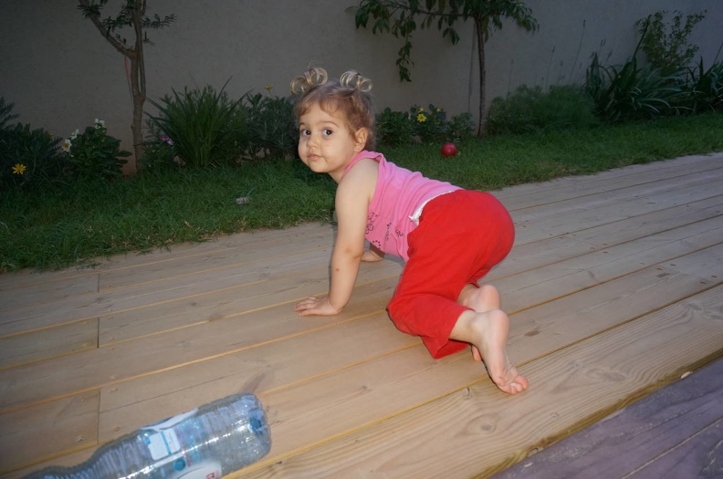 DSC00387_1_.jpg