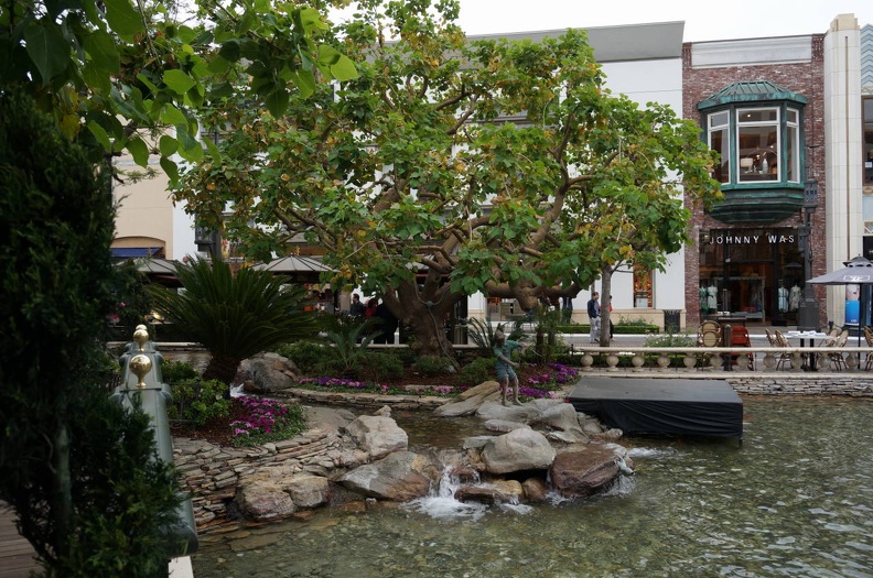 DSC00146_1_.jpg