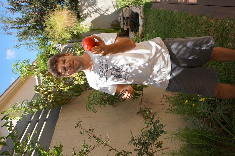 DSC03730