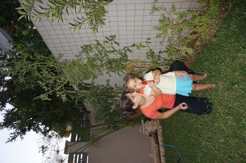 DSC03684.JPG