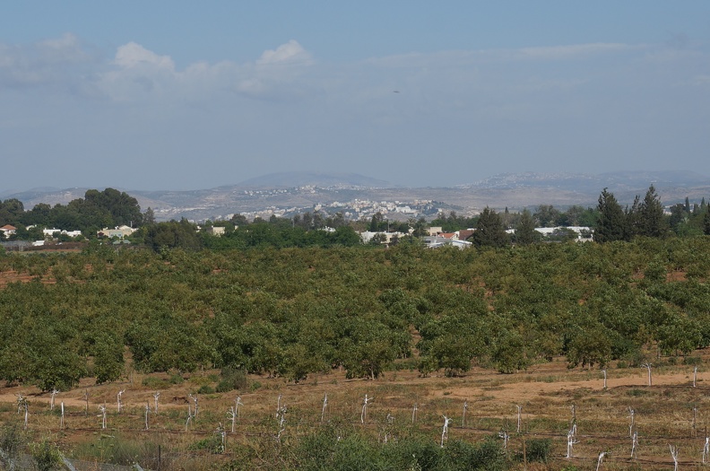 DSC00375