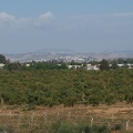 DSC00375