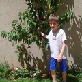 Image003a