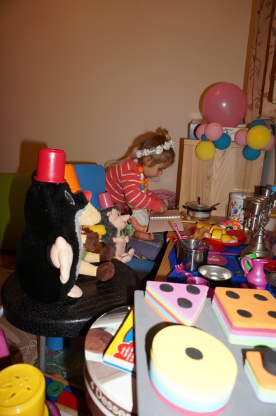 DSC04537