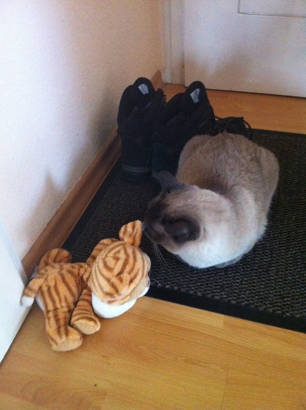 2012-10-24 15_22_28.jpg