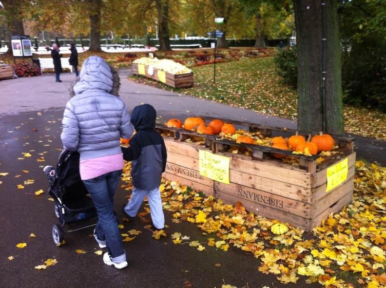 2012-10-28 12.20.23