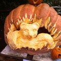 2012-10-28 12.47.31