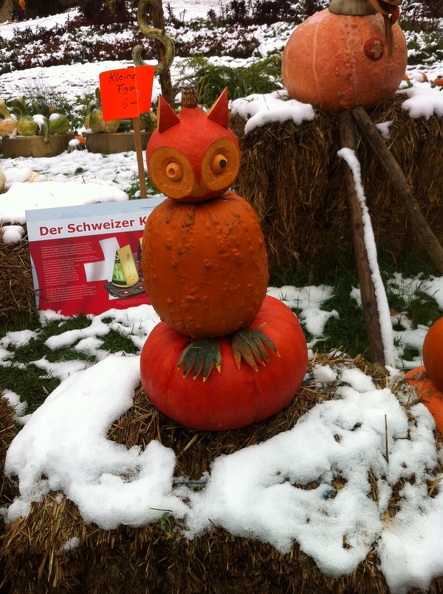 2012-10-28 12_49_15.jpg