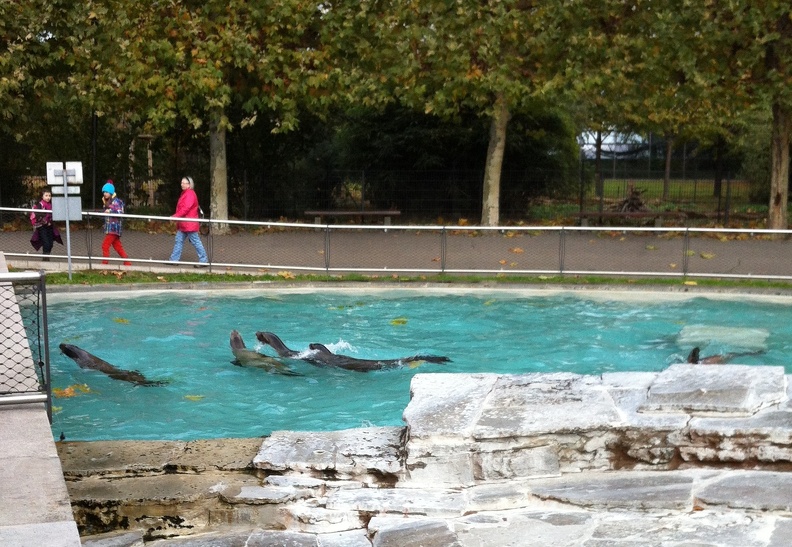 2012-10-30 12_59_05.jpg