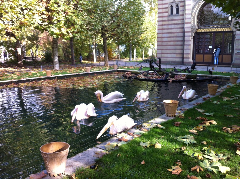 2012-10-30 13.48.25