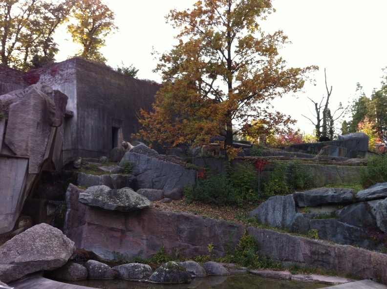 2012-10-30 15.31.56