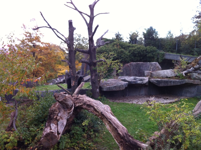 2012-10-30 15.54.53