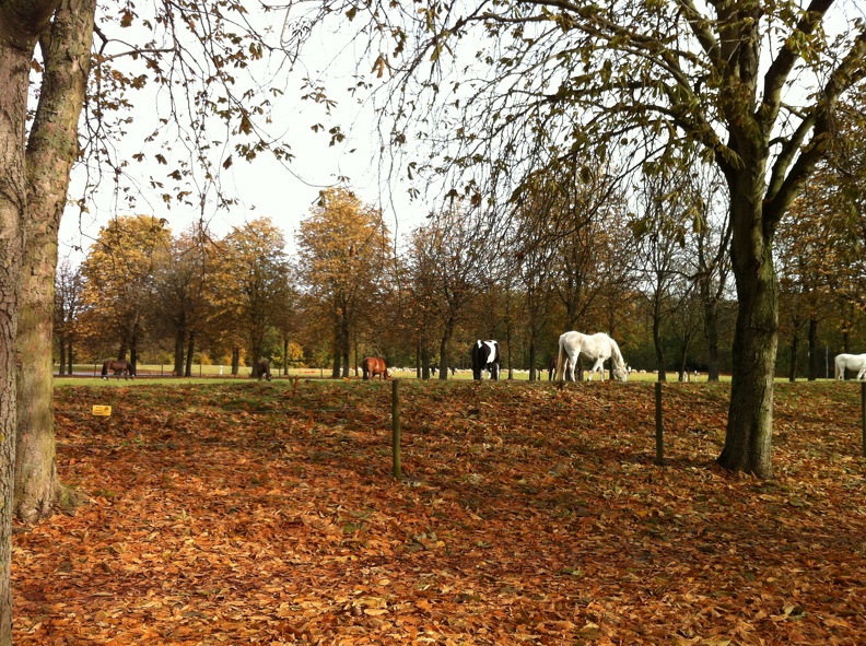 2012-11-01 11.43.23