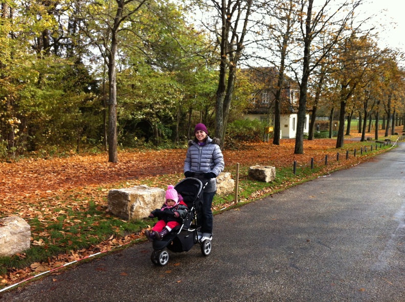 2012-11-01 11.48.21