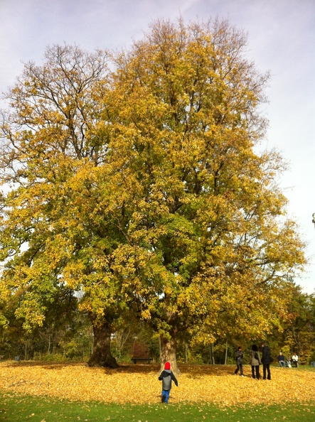 2012-11-01 12.16.22