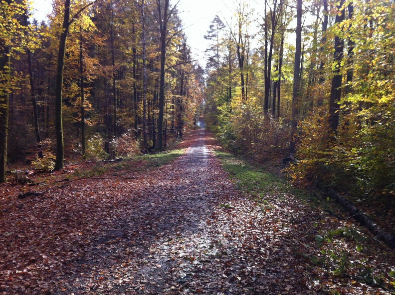2012-11-01 12.47.25