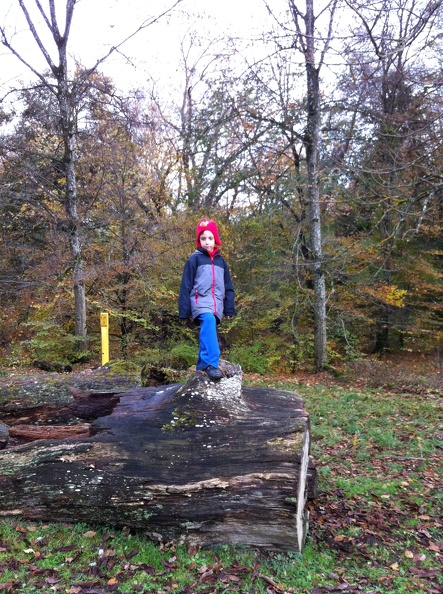 2012-11-01 15.35.50