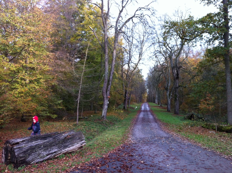 2012-11-01 15.37.02