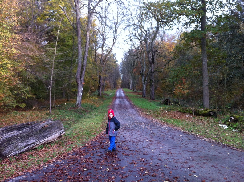 2012-11-01 15.37.14