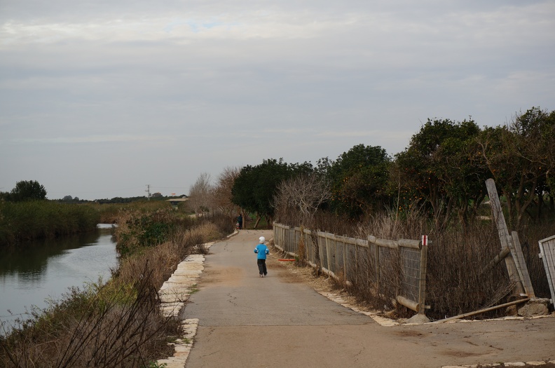 DSC04687