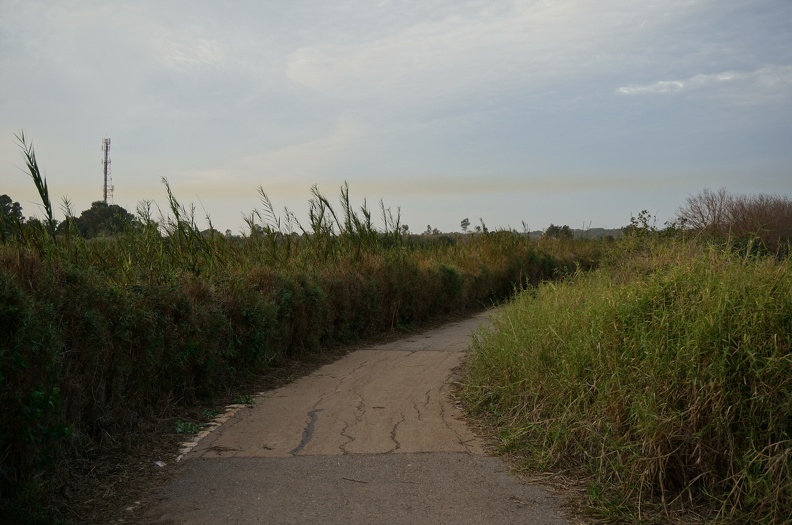 DSC04690