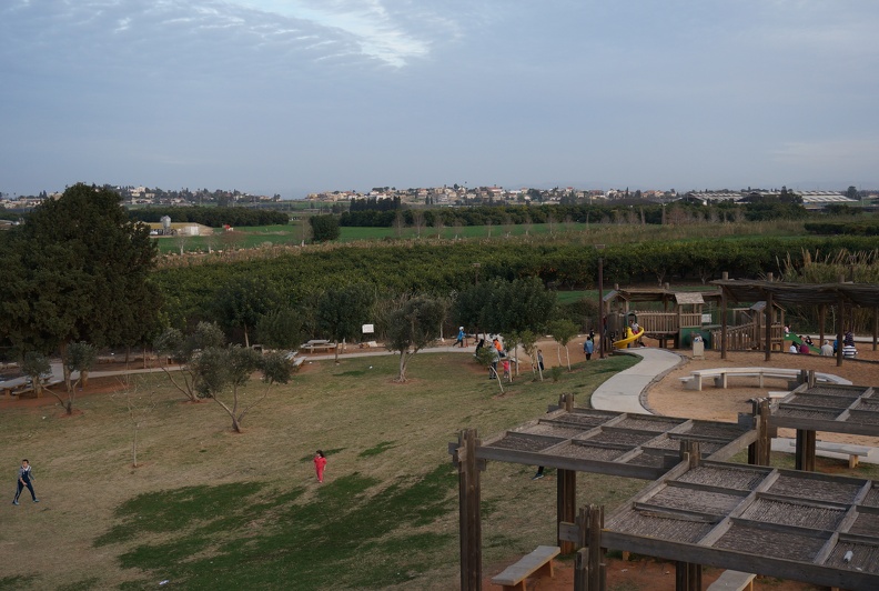 DSC04694
