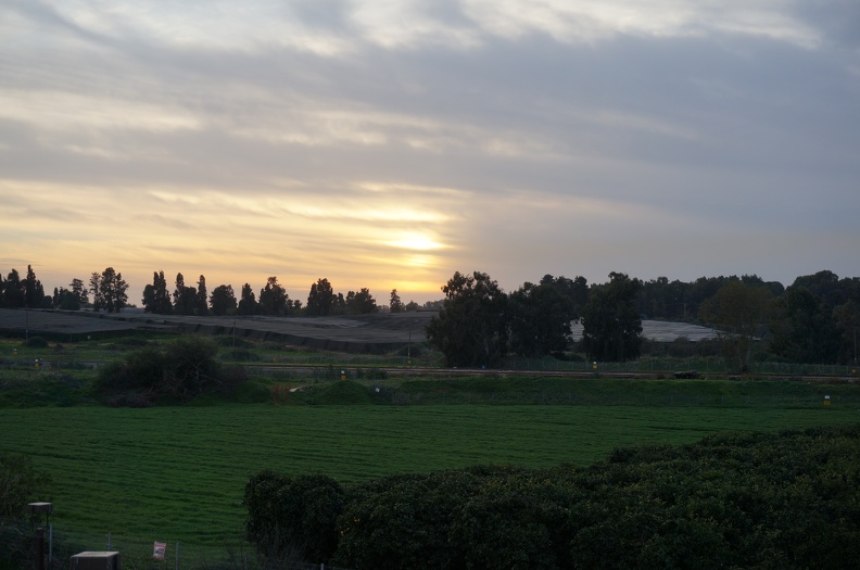 DSC04708