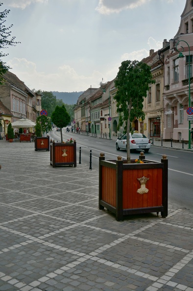 DSC01509
