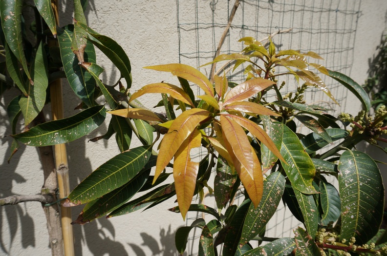 DSC04807