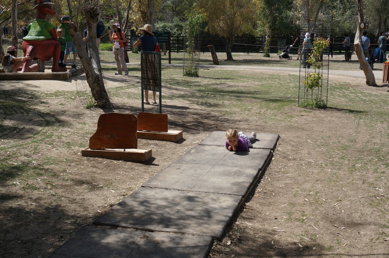 DSC04895