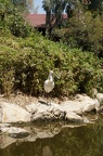 DSC04925