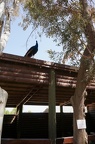 DSC05005