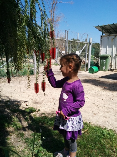 IMG 20140329 111608