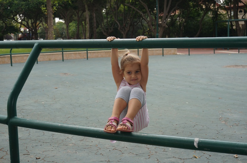 DSC05375