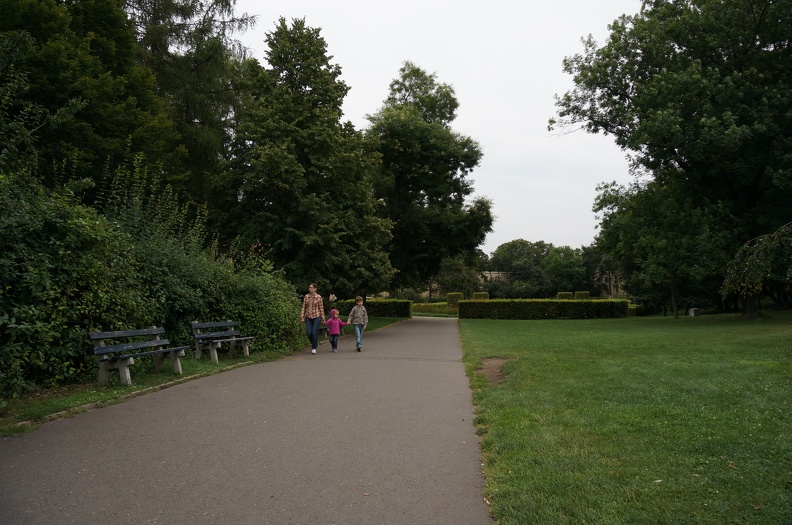 DSC05514