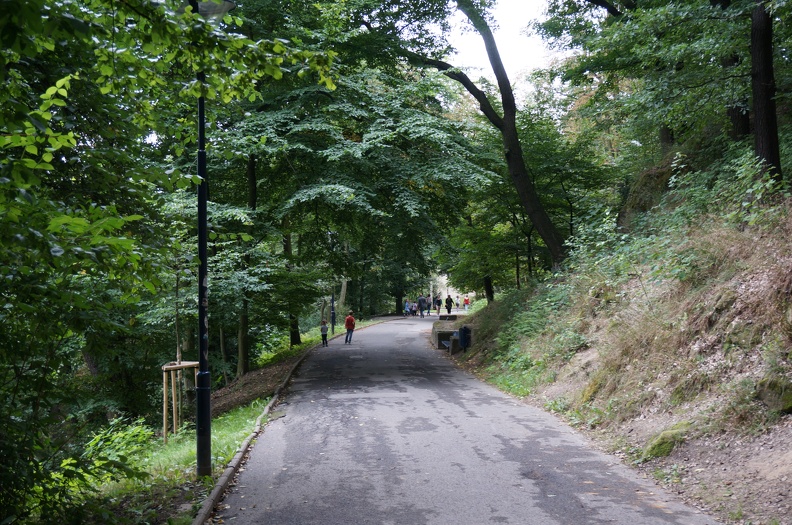 DSC05590