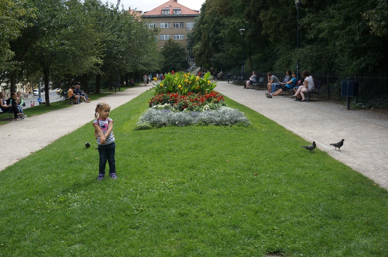 DSC05606