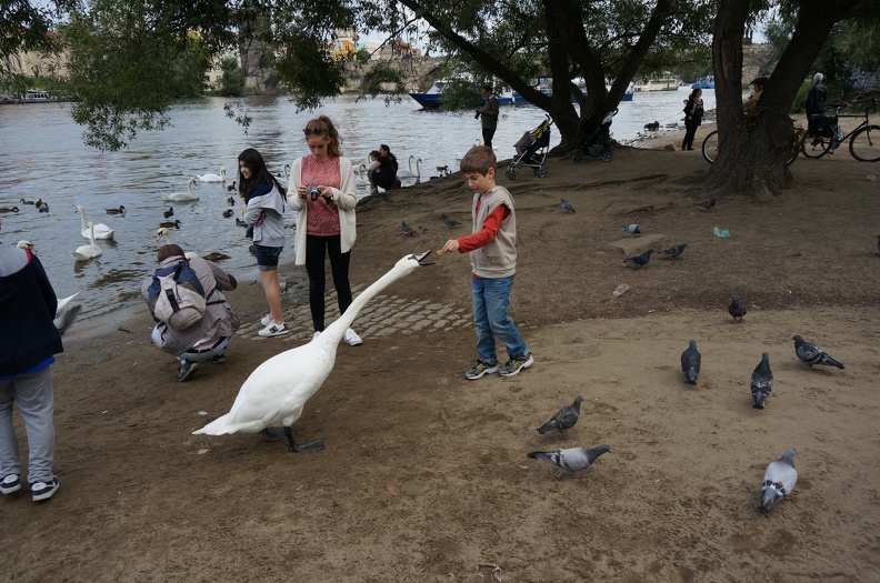 DSC05785.JPG