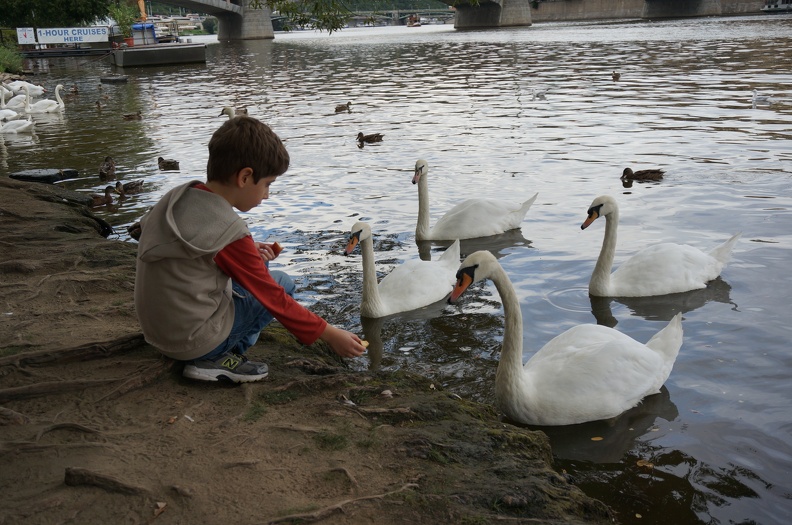DSC05800