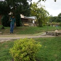 DSC06007