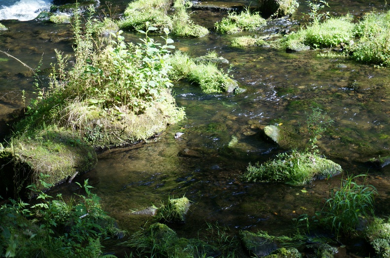 DSC06185