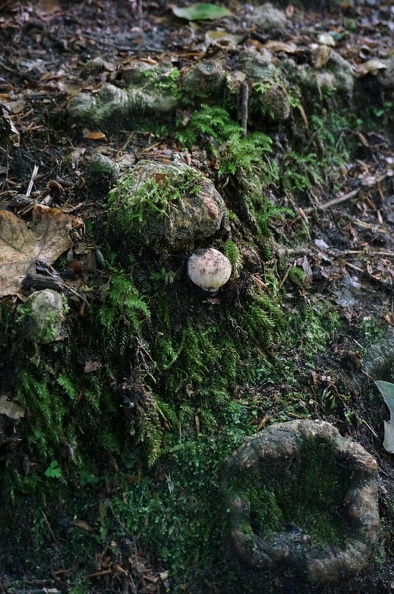 DSC06201